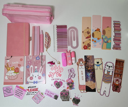 PINKY PINK 🎀🩷 BOOKISH BUNDLE