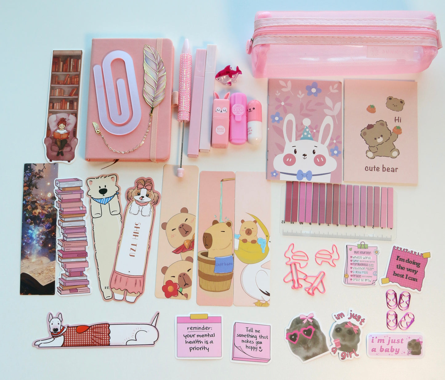 PINKY PINK 🎀🩷 BOOKISH BUNDLE