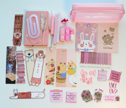 PINKY PINK 🎀🩷 BOOKISH BUNDLE