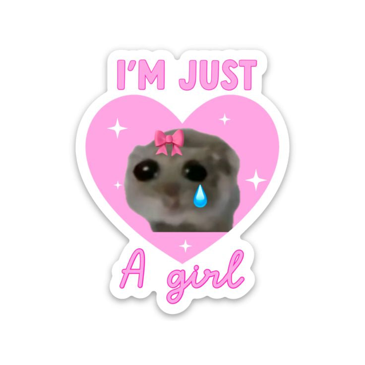 56pcs Hamster Meme Stickers ✨🎀